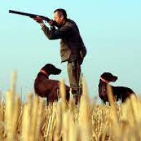 CHASSEURS DE MONTON ACCA